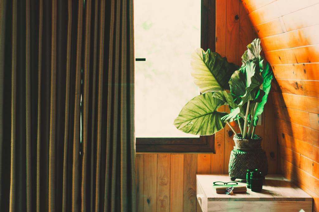 Chay Lap Farmstay Bo Trach Εξωτερικό φωτογραφία